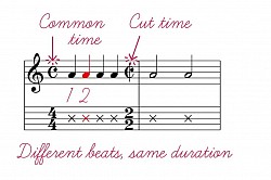 Common time, time signature, cut time, beats, beat duration, note duration, crosshead,
