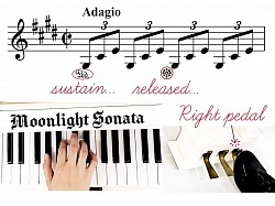 Sustain, pedal, sustain pedal, dynamics, right pedal, moonlight sonata, pedal up, pedal down, pedal release